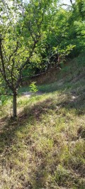 Продава КЪЩА, област София, гр. Своге • 85000 € • 74295338 — Holmes.bg