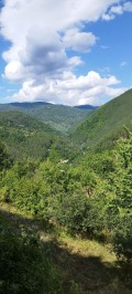 Продава КЪЩА, област София, гр. Своге • 85000 € • 74295338 — Holmes.bg