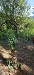 Продава КЪЩА, област София, гр. Своге • 85000 € • 74295338 — Holmes.bg