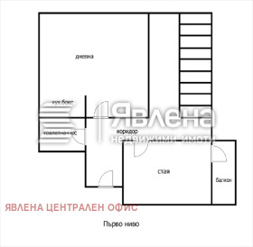 ����� ������� �������,���� �����, ������