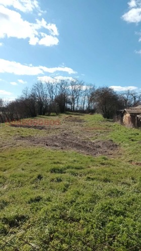 ����� ������� ������,�. ������� ��������, ������ �����