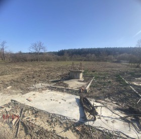 ����� ������� ������,��. �������, ������ �����