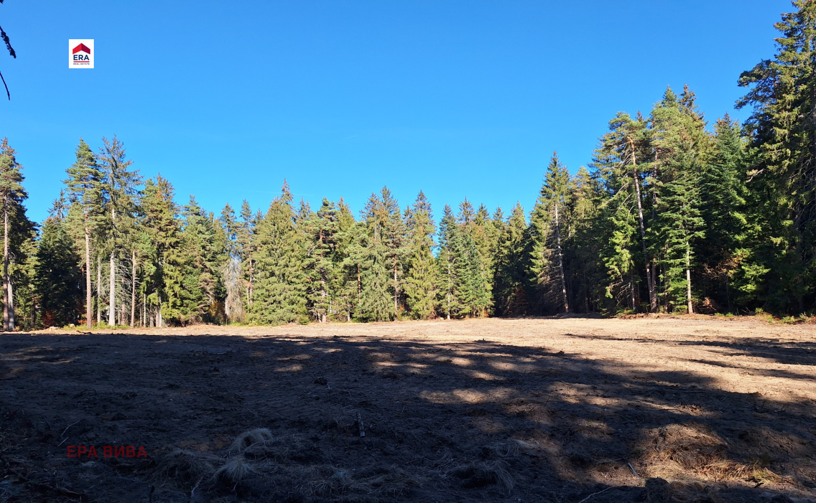 ������� ������ | Imot.bg � ����������� 4