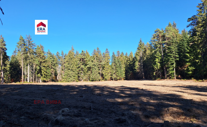 Продава ПАРЦЕЛ, к.к. Боровец, област София област, снимка 4 - Парцели - 53496939