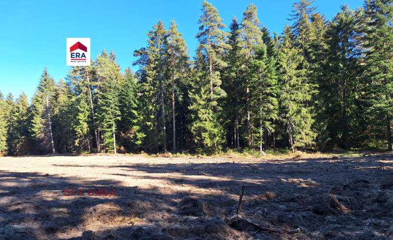 Продава ПАРЦЕЛ, к.к. Боровец, област София област, снимка 6 - Парцели - 53496939