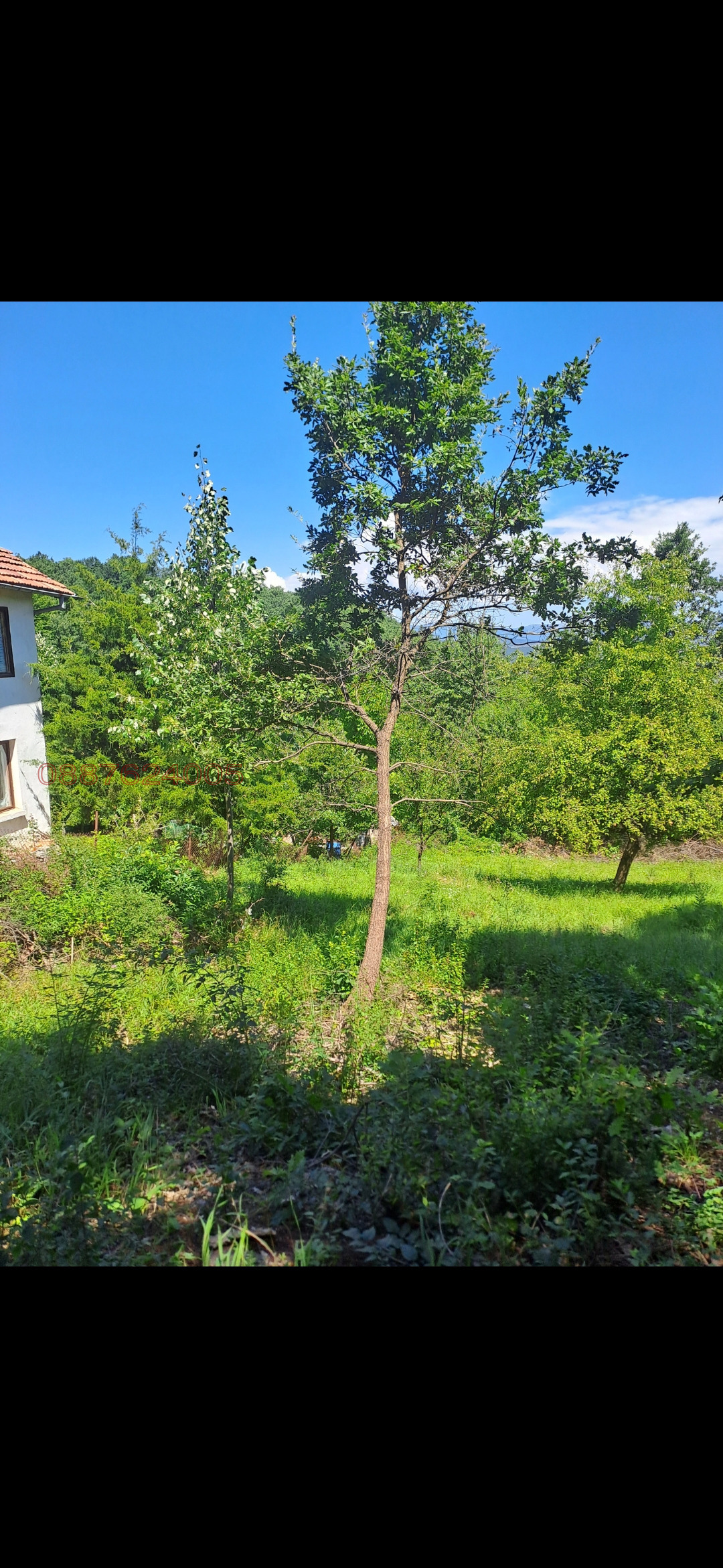 ������� ������ | Imot.bg � ����������� 8