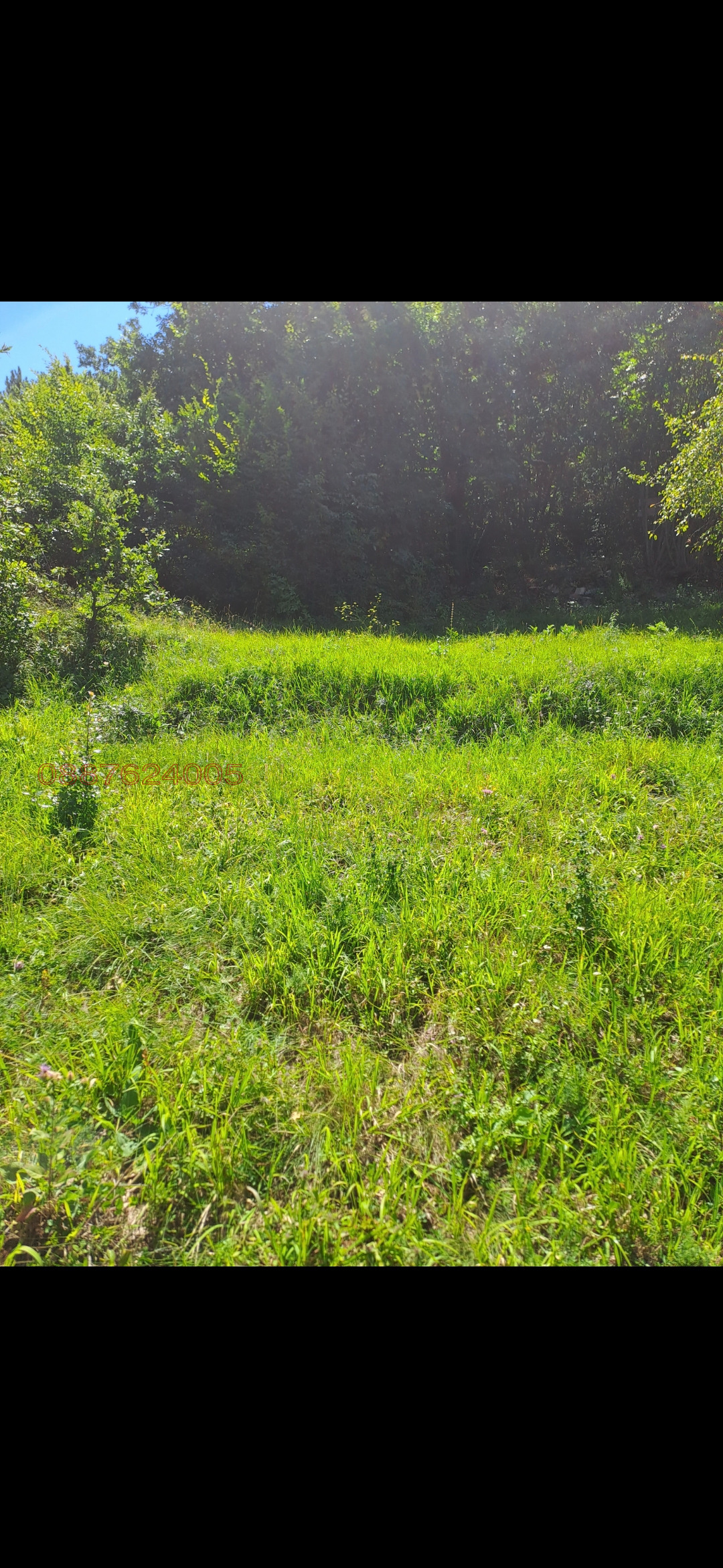 ������� ������ | Imot.bg � ����������� 3