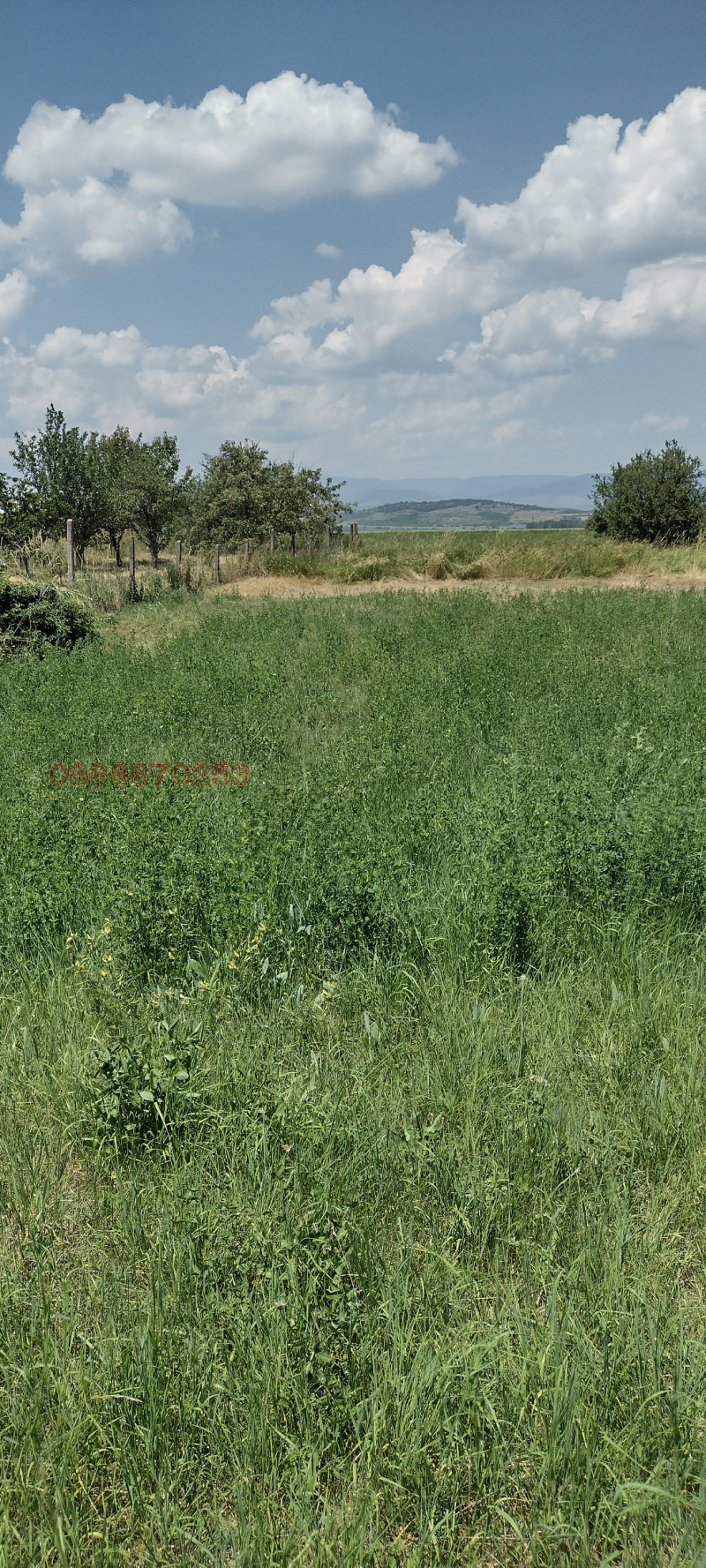 Til salgs  Plott region Sofia , Bogdanlija , 633 kvm | 51805272 - bilde [3]