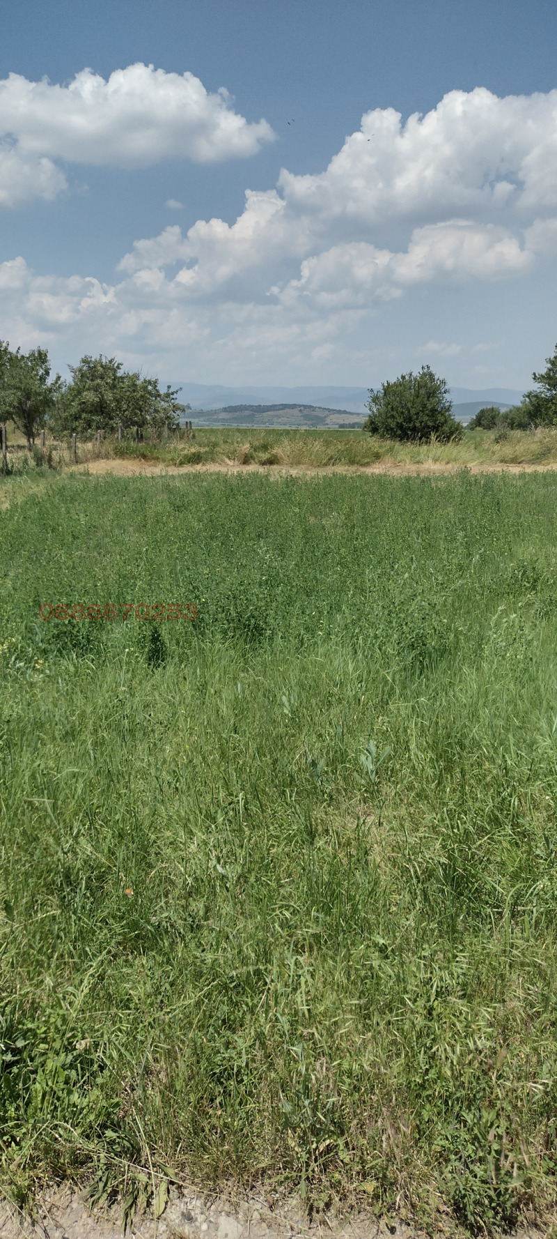 Til salgs  Plott region Sofia , Bogdanlija , 633 kvm | 51805272 - bilde [2]