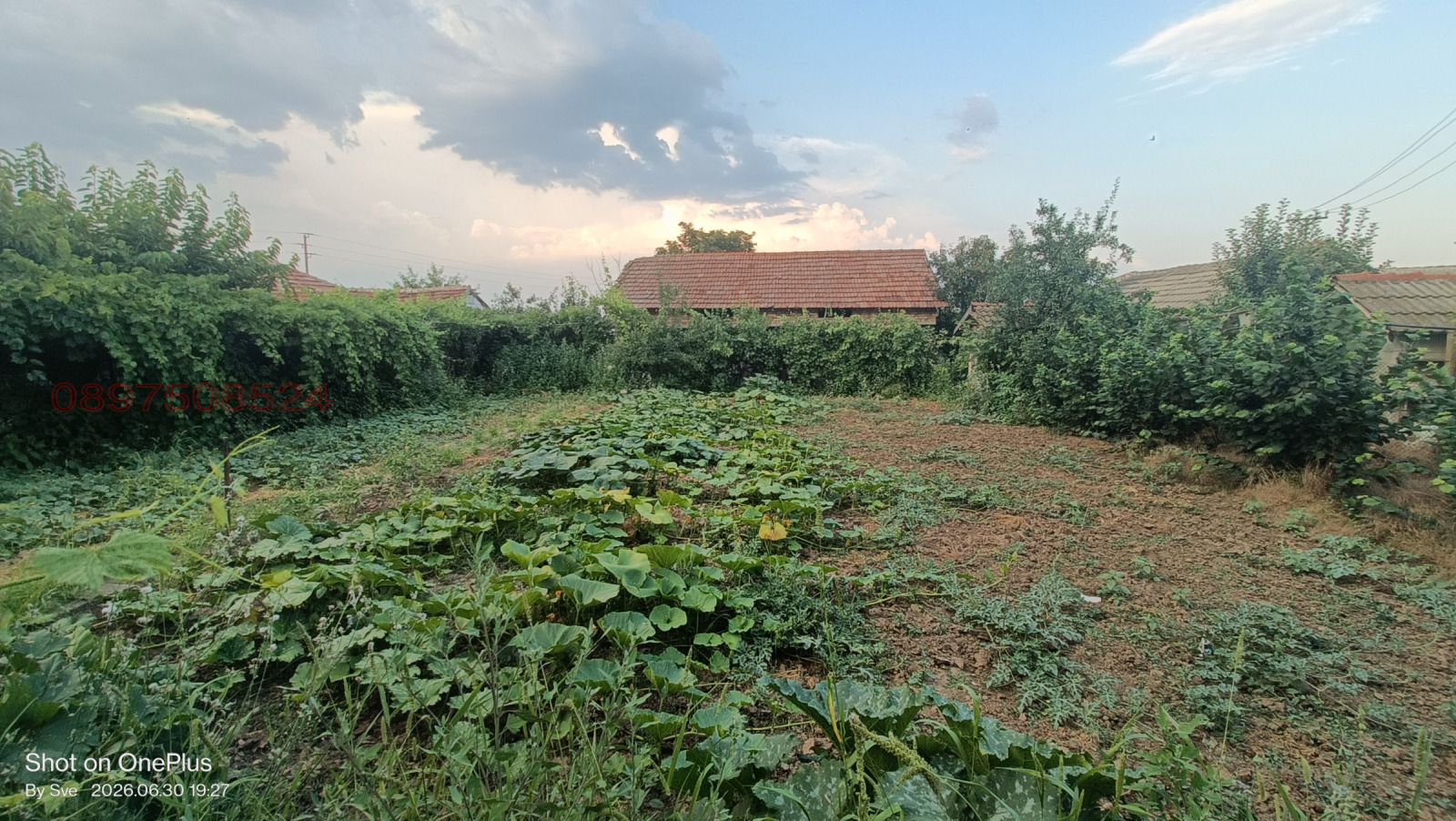 Продава КЪЩА, с. Нова Черна, област Силистра, снимка 5 - Къщи - 55125342