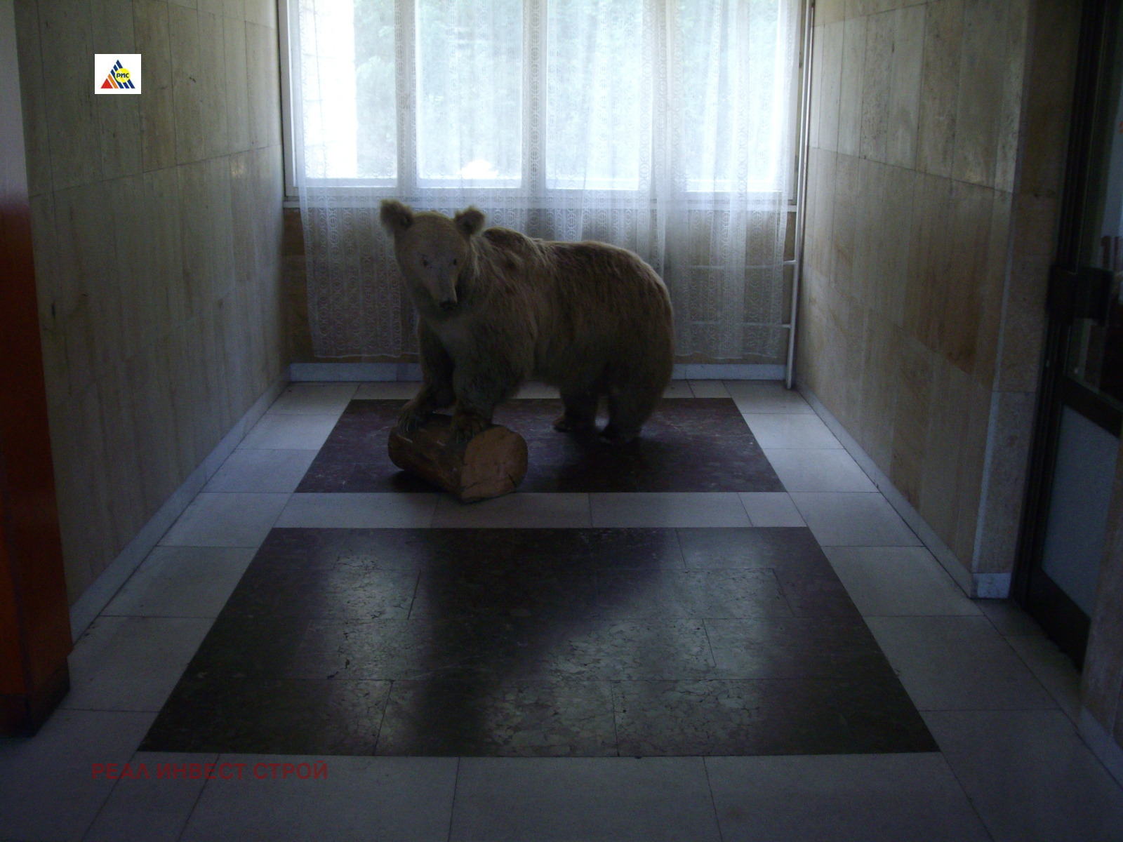 Продава БИЗНЕС ИМОТ, гр. Габрово, Център, снимка 5 - Други - 54102986