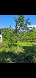 Продава ПАРЦЕЛ, област София, с. Ново бърдо • 12900 € • 39184448 — Holmes.bg