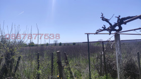   | Imot.bg    5