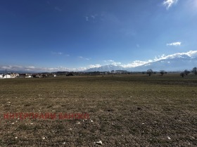 Plot Razlog, region Blagoevgrad 15