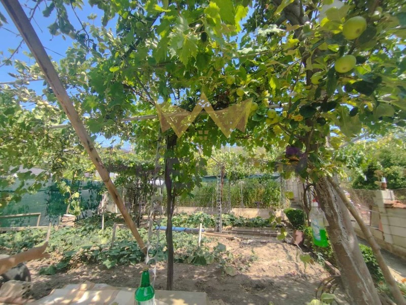 Till salu  Villa region Dobrich , Baltjik , 72 kvm | 42330051 - bild [2]