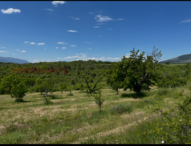 Продава ЗЕМЕДЕЛСКА ЗЕМЯ, с. Таваличево, област Кюстендил, снимка 2 - Земеделска земя - 52783689