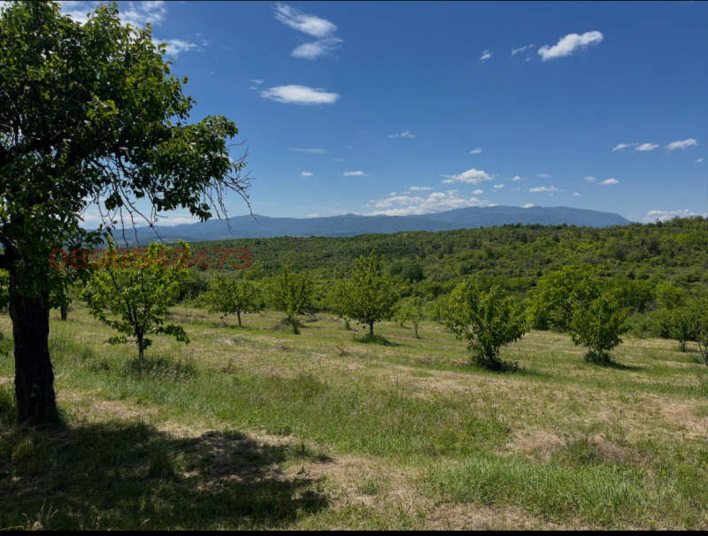 Продава ЗЕМЕДЕЛСКА ЗЕМЯ, с. Таваличево, област Кюстендил, снимка 3 - Земеделска земя - 52783689