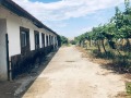 Продава ПРОМ. ПОМЕЩЕНИЕ, с. Козарско, област Пазарджик, снимка 2