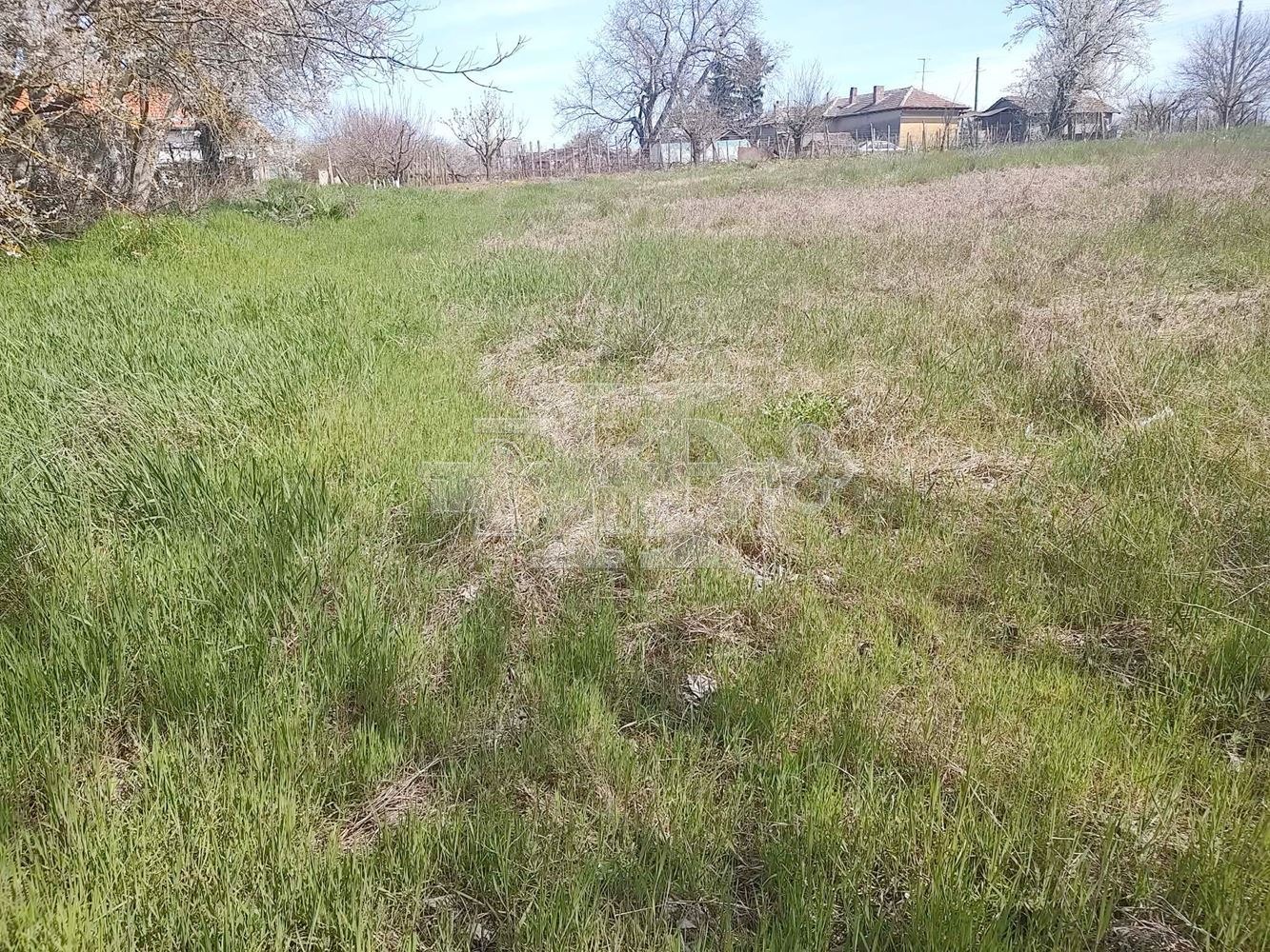 Продава ПАРЦЕЛ, с. Паскалево, област Добрич, снимка 2 - Парцели - 54234260