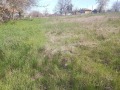 Продава  Парцел област Добрич , с. Паскалево , 980 кв.м | 99528524 - изображение [2]