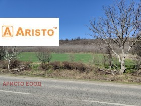 ����� ������� ������,������ ��� �83, ������ ������