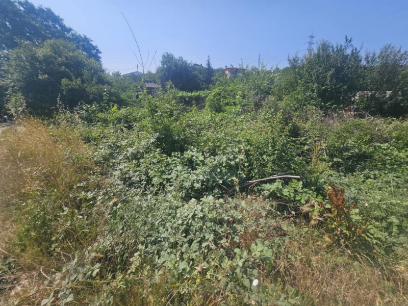 Продава  Парцел град Кърджали , Резбарци , 256 кв.м | 97416866 - изображение [5]