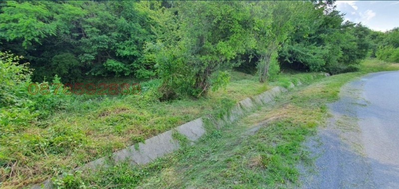 Na prodej  Spiknutí Sofia , Bistrica , 500 m2 | 50671710 - obraz [3]
