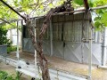 Продава КЪЩА, област Русе, с. Бабово • 55000 лв. • 52757442 — Holmes.bg