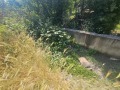 Продава ПАРЦЕЛ, град Кърджали, Резбарци • 45000 лв. • 53054186 — Holmes.bg