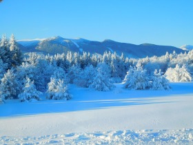 Villa k.k. Borovets, region Sofia 15