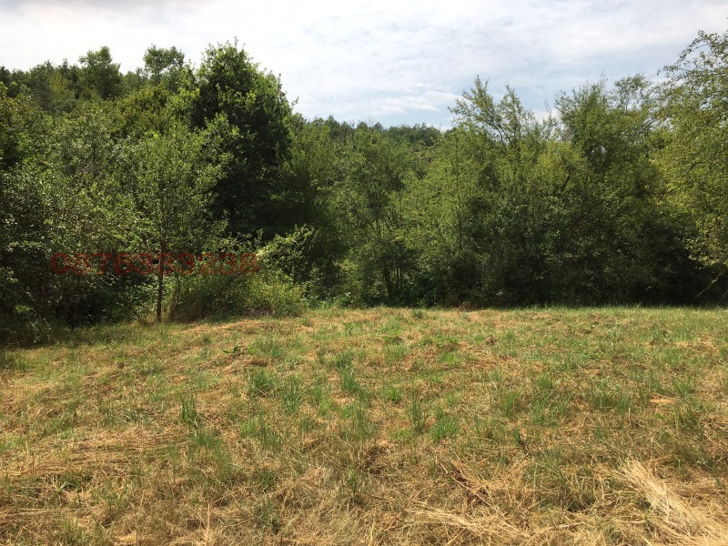 Zu verkaufen  Handlung region Gabrovo , Gabene , 3501 qm | 91563921 - Bild [2]