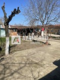 Продава КЪЩА, с. Дропла, област Добрич, снимка 16 - Къщи - 44904973