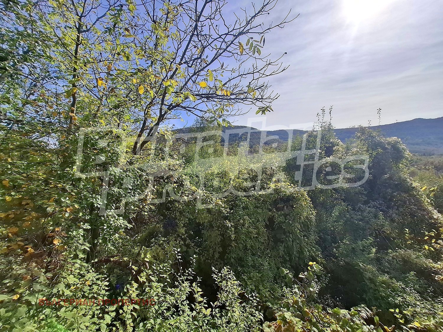 ������� ���� | Imot.bg � ����������� 16