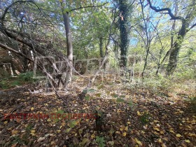 ������� ���� | Imot.bg � ����� ������ 17
