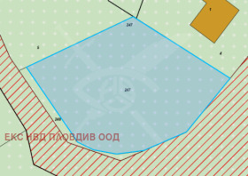 ����� ������� ������,�. ��������, ������ �������