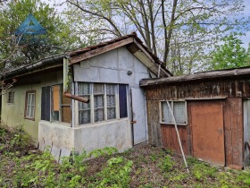 Vilă m-t Plociata, Pleven