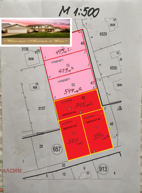 ����� ������� ������,��. ����������, ������ �����