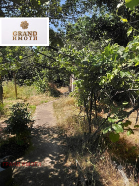 ������� ���� | Imot.bg � ����� ������ 5