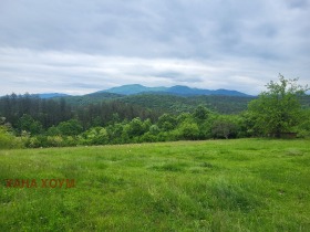 ����� ������� ������,�. ��������, ������ �����