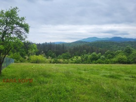 ����� ������� ������,�. ��������, ������ �����