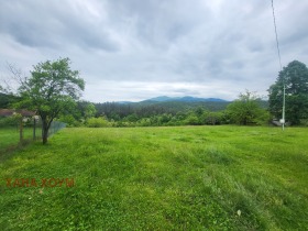 ����� ������� ������,�. ��������, ������ �����>