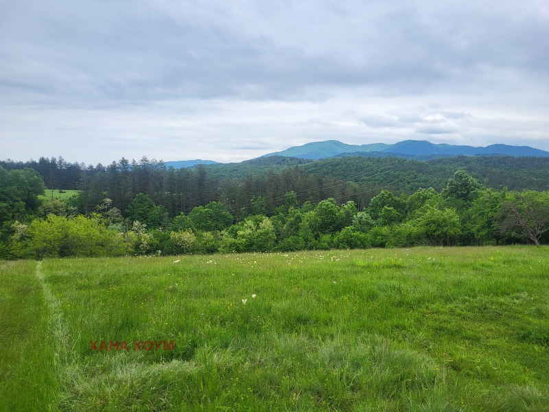 Продава ПАРЦЕЛ, с. Гумощник, област Ловеч, снимка 6 - Парцели - 45809900