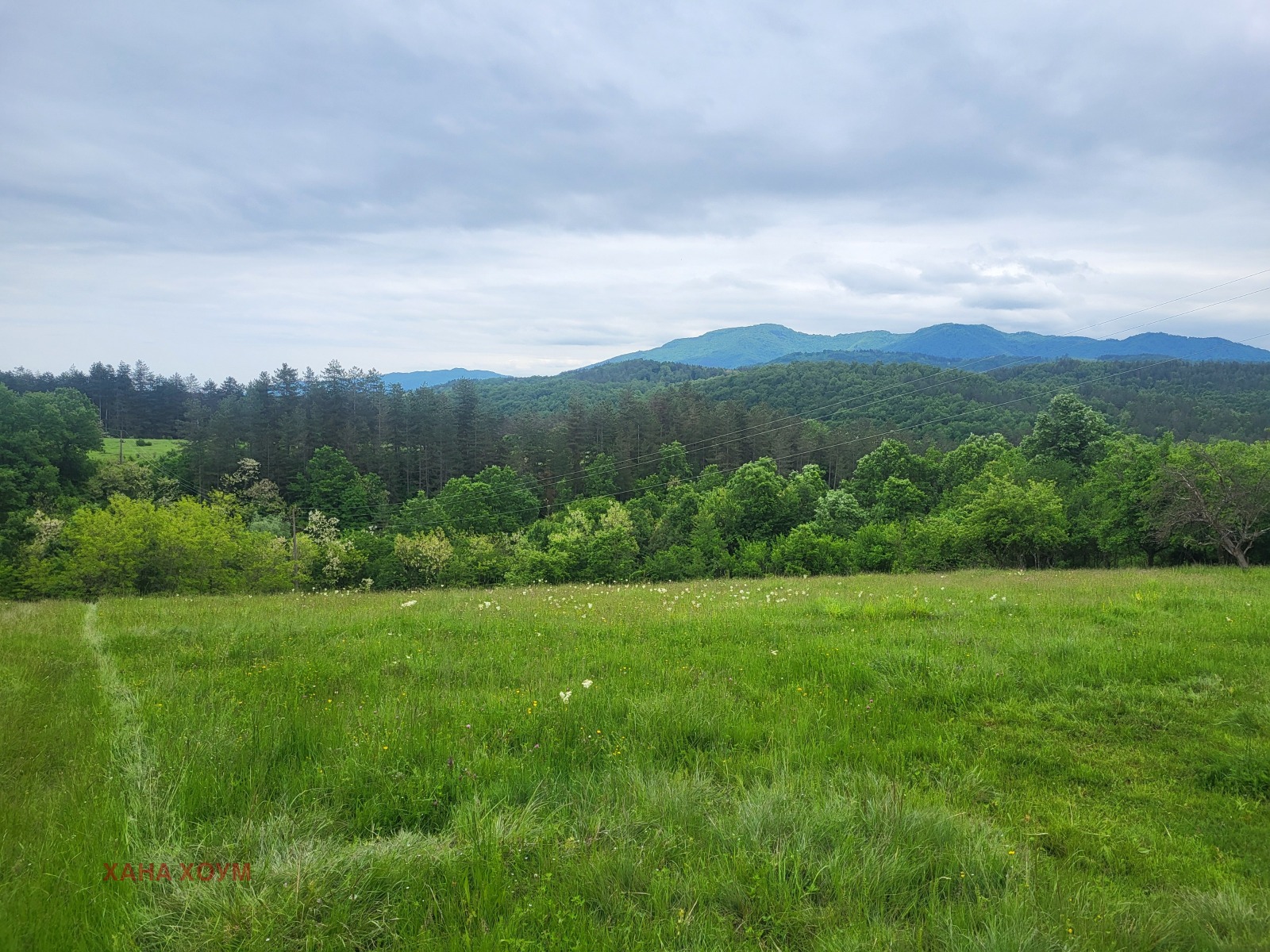 Продава ПАРЦЕЛ, с. Гумощник, област Ловеч, снимка 6 - Парцели - 45809900