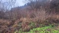 Продава ПАРЦЕЛ, с. Голема Раковица, област София област, снимка 5