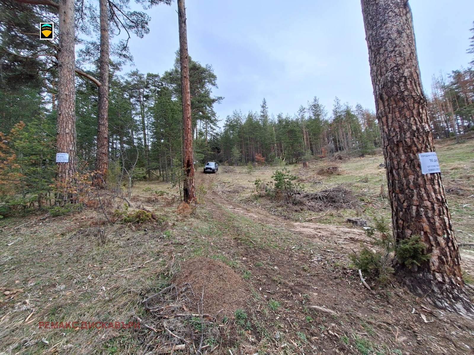 Продава ПАРЦЕЛ | Imot.bg — изображение 3