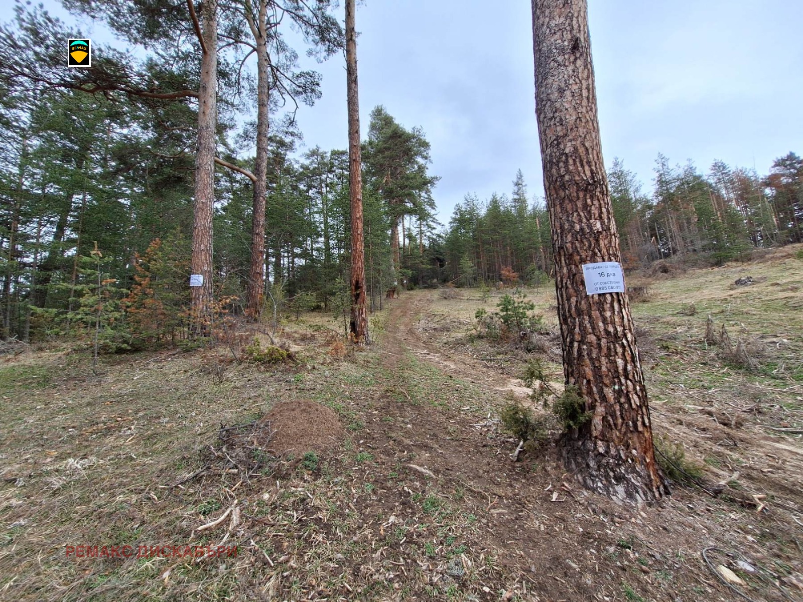 Продава ПАРЦЕЛ | Imot.bg — изображение 5