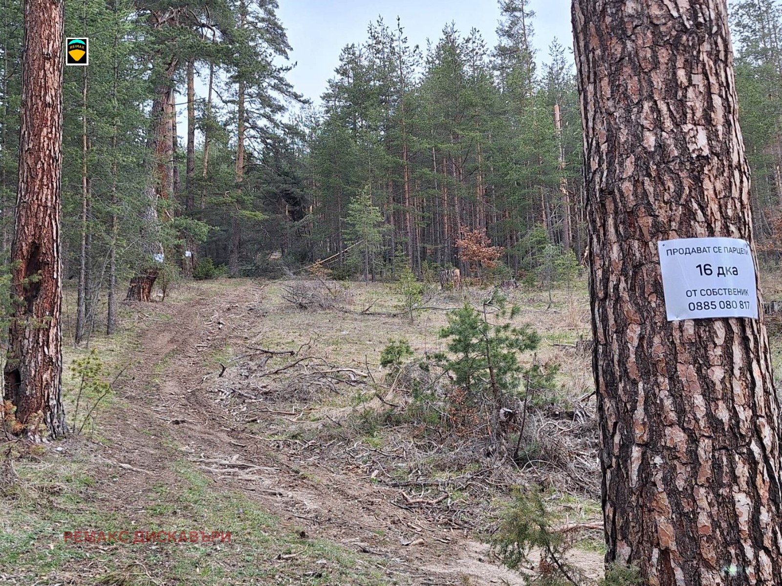 Продава ПАРЦЕЛ | Imot.bg — изображение 4