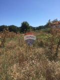 Продава ПАРЦЕЛ, гр. Варна, м-т Манастирски рид, снимка 1