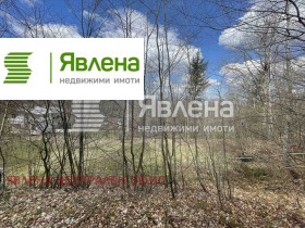 ����� ������� ������,��. ����� ����, ������ �����