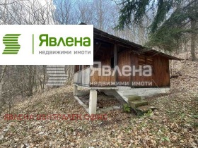 ����� ������� ������,��. ����� ����, ������ �����